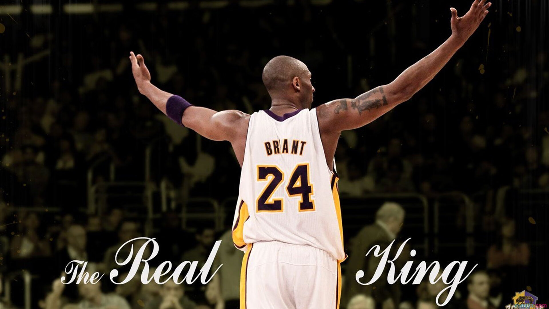 混合泳选手中立代表队A稳定输出高分，混合泳冠军